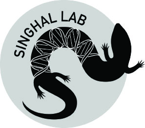 Singhal Lab